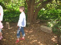 img_2817.jpg