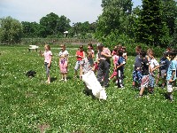 img_2829.jpg