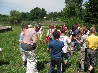 img_2833.jpg