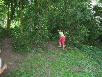 img_2843.jpg