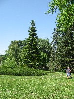 img_2847.jpg