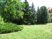 img_2849.jpg