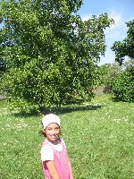 img_2850.jpg