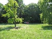 img_2855.jpg