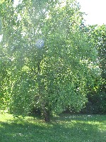 img_2856.jpg