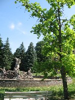 img_2857.jpg