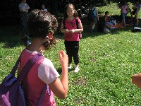 img_2862.jpg