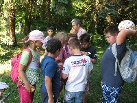 img_2868.jpg