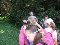 img_2869.jpg