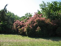 img_2884.jpg