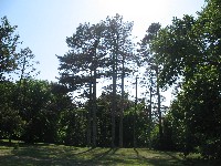 img_2885.jpg