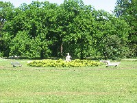 img_2886.jpg