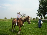 dsc03803.jpg