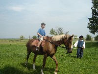 dsc03806.jpg