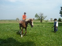 dsc03808.jpg
