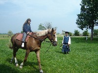 dsc03809.jpg