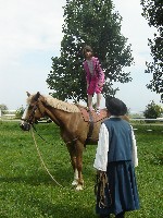 dsc03817.jpg