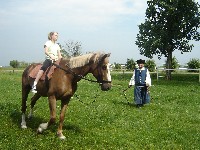 dsc03820.jpg