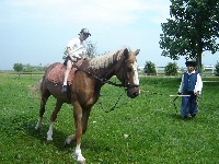 dsc03823.jpg