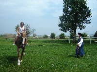 dsc03826.jpg