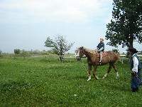 dsc03828.jpg