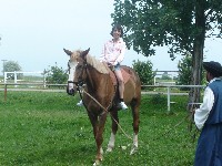 dsc03830.jpg