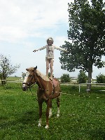 dsc03834.jpg