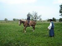 dsc03845.jpg
