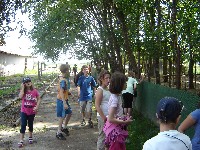 dsc03852.jpg