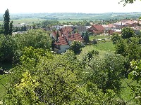 p1120590.jpg