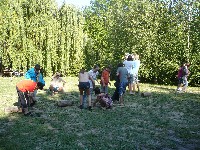 p1120651.jpg
