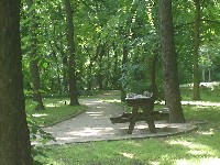 dsc03149.jpg