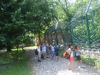 dsc03236.jpg