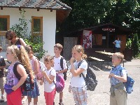 dsc03239.jpg