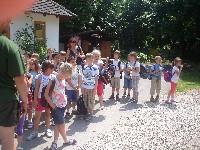 dsc03240.jpg