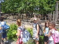 dsc03241.jpg