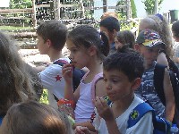 dsc03242.jpg