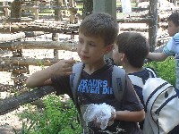 dsc03247.jpg