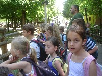 dsc03252.jpg