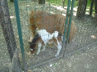dsc03259.jpg