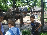 dsc03265.jpg