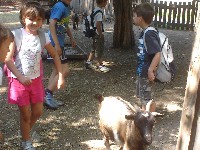 dsc03281.jpg