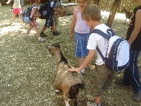 dsc03282.jpg