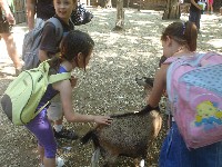 dsc03283.jpg