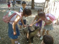 dsc03284.jpg