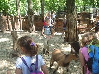 dsc03287.jpg