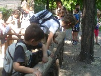 dsc03293.jpg