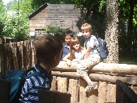 dsc03302.jpg
