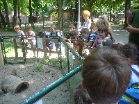 dsc03305.jpg