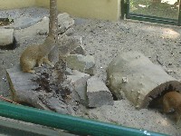 dsc03306.jpg